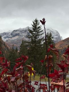 Grande Maison Du Coeur Champoluc Spa,Gym e Aree Relax - 7