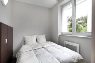 Au bord du Lac Belvedere à Gerardmer - 3