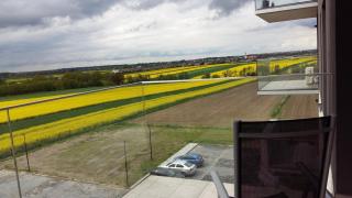 Panorama Biegusa 74 - 4