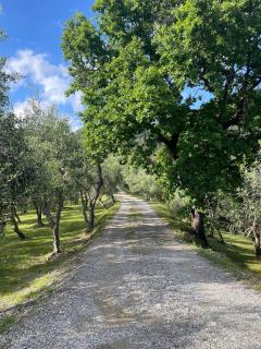 Eremo della Maddalena - 4