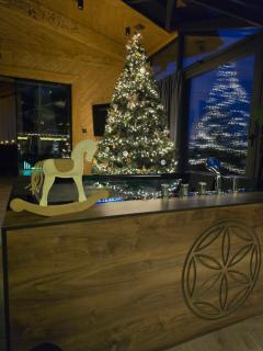 Sobiczkowy Dwór Apartament - Giewont Premium DeLuxe & SPA - 7