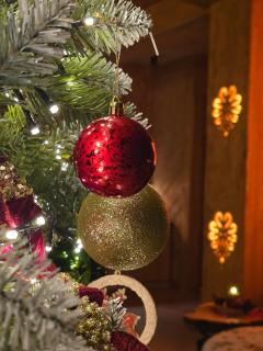 Sobiczkowy Dwór Apartament -Kasprowy Wierch Premium DeLuxe & SPA - 6