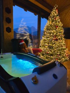 Sobiczkowy Dwór Apartament -Kasprowy Wierch Premium DeLuxe & SPA - 1