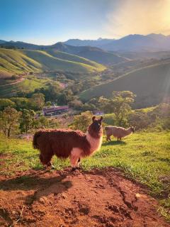 Pousada Finca dos Anjos - 4