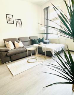 Modern furnished apartment with balcony - 0