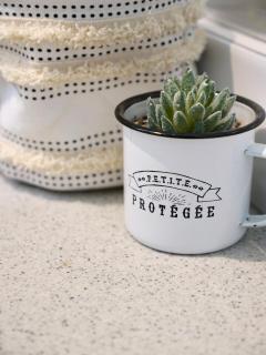 Évasion Turquoise, T2 bungalow plage privée - 6