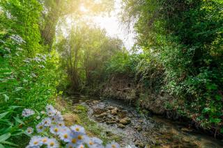 El Molino de la Pastora - Valacloche - 0