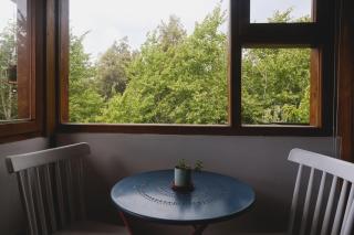 El Mononoambiente de Bariloche, con vista al lago - 4