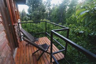 El Mononoambiente de Bariloche, con vista al lago - 8