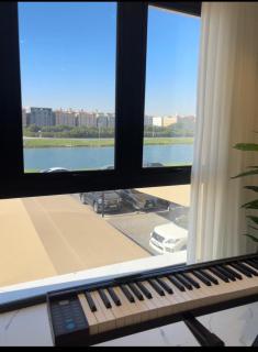 Chicago Apartment - 2