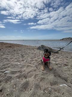 Welsh Seaview Stay 3 bed caravan by pool, club and beach - 7