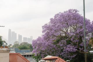 Chic 2BR Terrace w City and Harbour Bridge Views - 5
