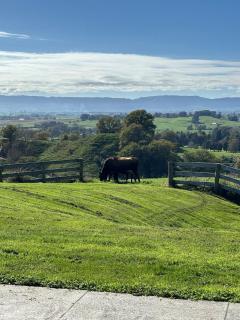 The Home on the Hill - 2