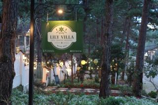 Lily Villa Mang Den - 8