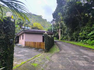 Vacation house in Tahiti - 4