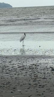 Camping y hospedaje playa azul - 0