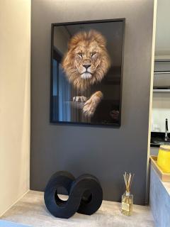 Apto Novo, Moderno e Aconchegante em Pomerode - 1