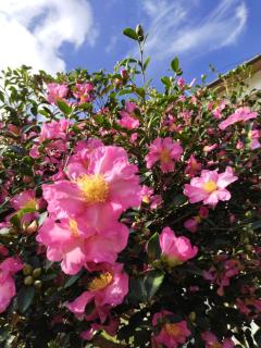 古民家宿郷の家 - 8