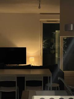 T4 Récent - Fonsorbes Centre avec 2 parkings - 1