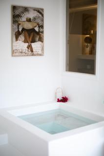 Le Jardin de La Tortue Verte - 9