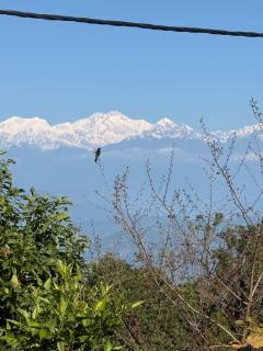 Sleeping Buddha Homestay - Lamahatta - 9