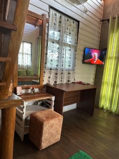 Dins Nature Villa - 1