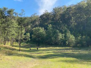 Wombat Hideaway by Tiny Away - 3