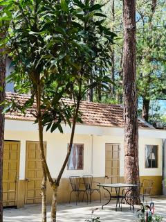 Lily Villa Mang Den - 4