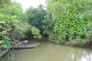 Phi Yen Eco Resort Can Tho - 1