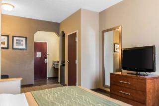 Comfort Inn Lancaster County - 4