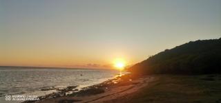 palawan holiday lodge - 7