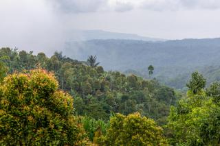 Asahan Munduk Cabin - 4