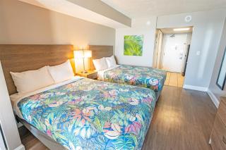 Direct Oceanfront Amazing Views In Camelot Resort! - 1