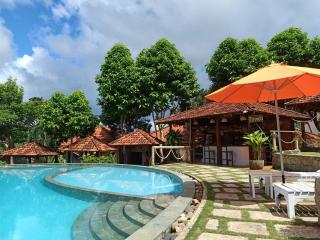 Daisy Hill Retreat - 9