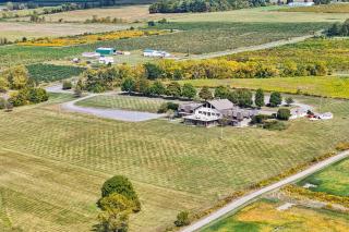 Diamond on Seneca - 4