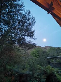 The Abel Tasman Treehouse - 3