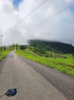 Toma Tungi Resort & Restaurant - 9