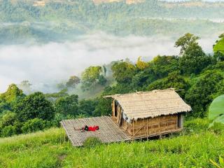 Toma Tungi Resort & Restaurant - 8