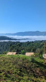 Toma Tungi Resort & Restaurant - 6