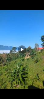 Toma Tungi Resort & Restaurant - 3