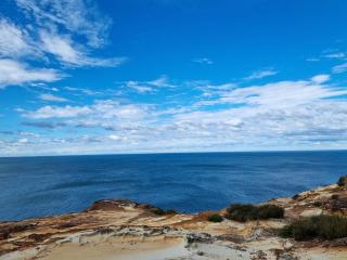 Spacious Coastal Bush Retreat-Close to Everything - 7