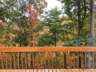 Mountain View Cottage - 2