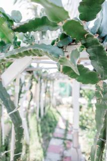 Private Room #1 in Mira Mesa Home with Private Bath and Entry - 3