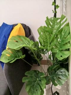 Terra Nueve Escape - 1br with Balcony Staycation - 2