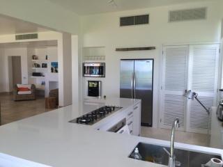 Playa Bonita Modern Beachfront Penthouse Retreat - 2