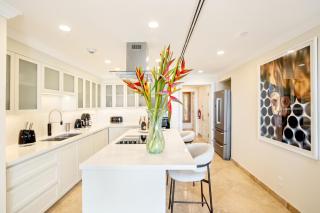 Luxury Oceanview Condo by Poinciana at The Crane - 5