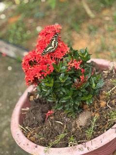 Fishing Farm Homestay - 5