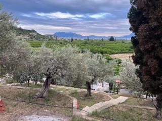 Olive Hill - 8