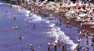 Corredor Yugawara Dog＆Resort - 6