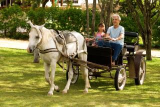 Hotel Fazenda Portal de Gravatá - 3
